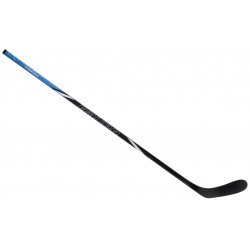 Bauer Nexus E40 int Stick